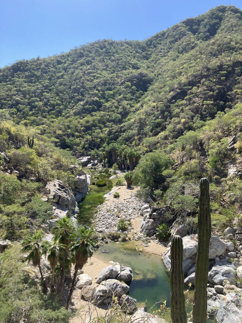 Sierra laguna Mexique